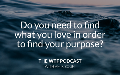 The WTF Podcast – Episode 13: Do you need to find what you love in order to find your purpose?