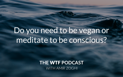 The WTF Podcast – Episode 15: Do you need to meditate or be vegan to be conscious?