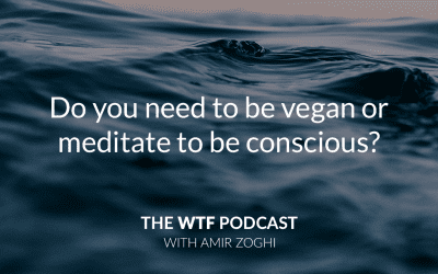 The WTF Podcast – Episode 15: Do you need to meditate or be vegan to be conscious?