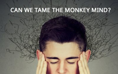 Can we Tame the Monkey Mind?