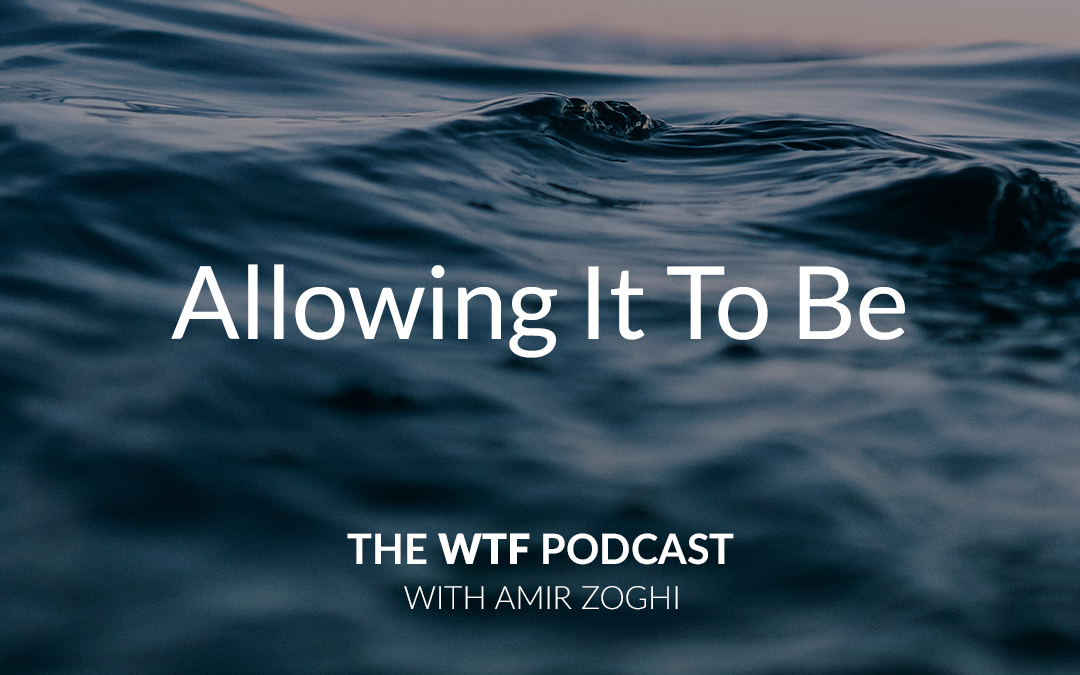 The WTF Podcast – Ep40: Allowing It To Be