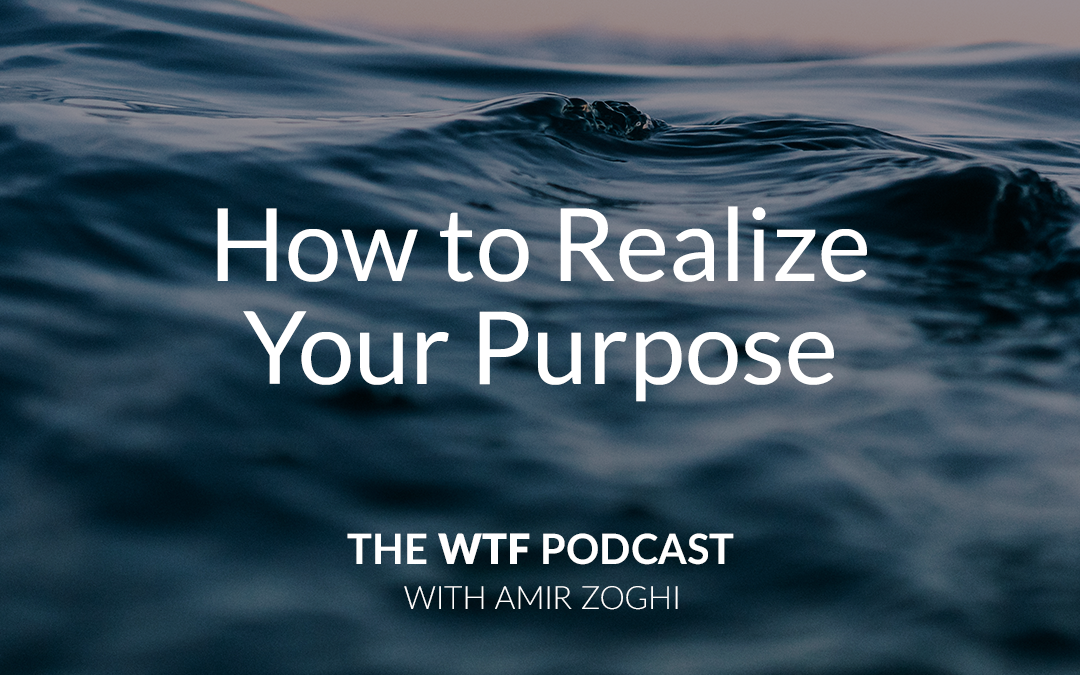 The WTF Podcast – Ep43: How to Realize Your Purpose